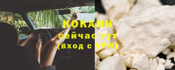 гидра Костерёво