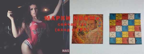 стаф Коряжма