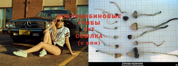 гидра Костерёво